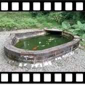 DSC_2656.JPG DSC_2656.JPG