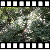 DSC_2838.JPG DSC_2838.JPG