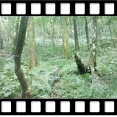 DSC_2932.JPG DSC_2932.JPG