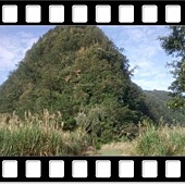 DSC_3271.JPG DSC_3271.JPG