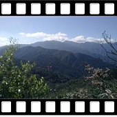 DSC_3557.JPG DSC_3557.JPG