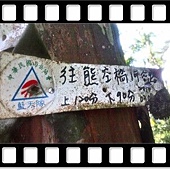 DSC_3581.JPG DSC_3581.JPG