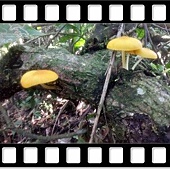 DSC_3615.JPG DSC_3615.JPG