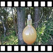 DSC_3723.JPG DSC_3723.JPG