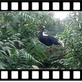 DSC_4266.JPG DSC_4266.JPG