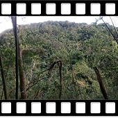 DSC_4298.JPG DSC_4298.JPG