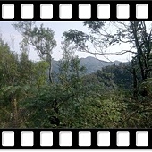 DSC_4379.JPG DSC_4379.JPG