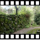 DSC_4340.JPG DSC_4340.JPG