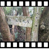 DSC_2097.JPG DSC_2097.JPG