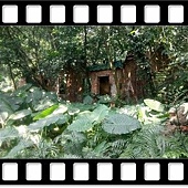 DSC_2124.JPG DSC_2124.JPG