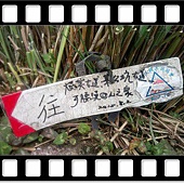 DSC_2346.JPG DSC_2346.JPG