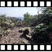 DSC_2535.JPG DSC_2535.JPG