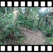 DSC_1866.JPG DSC_1866.JPG