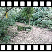 DSC_1945.JPG DSC_1945.JPG