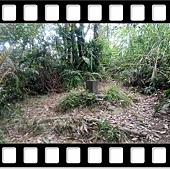 DSC_1948.JPG DSC_1948.JPG