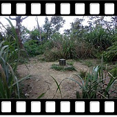 DSC_2008.JPG DSC_2008.JPG