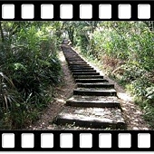 DSC_2025.JPG DSC_2025.JPG