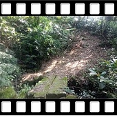 DSC_1854 (1).JPG DSC_1854 (1).JPG