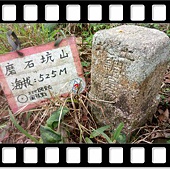 DSC_2018.JPG