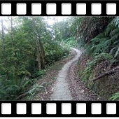 DSC_1835.JPG DSC_1835.JPG