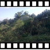 DSC_1838.JPG DSC_1838.JPG