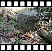 DSC_1870.JPG DSC_1870.JPG