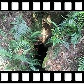 DSC_1879.JPG DSC_1879.JPG