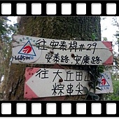 DSC_1895.JPG DSC_1895.JPG