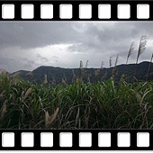 DSC_1912.JPG DSC_1912.JPG