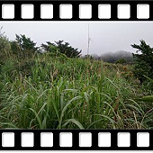 DSC_1951.JPG DSC_1951.JPG