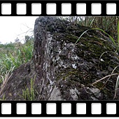 DSC_1952.JPG DSC_1952.JPG