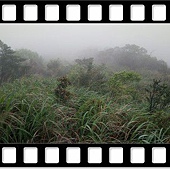 DSC_1967.JPG DSC_1967.JPG