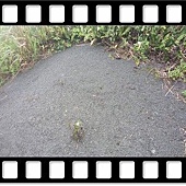 DSC_1968.JPG DSC_1968.JPG