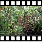 DSC_1993.JPG DSC_1993.JPG