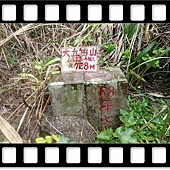 DSC_1997.JPG DSC_1997.JPG