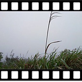 DSC_1999.JPG
