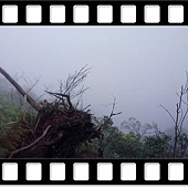 DSC_2004.JPG DSC_2004.JPG