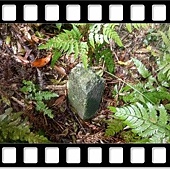 DSC_2036.JPG DSC_2036.JPG