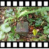 DSC_2038.JPG DSC_2038.JPG