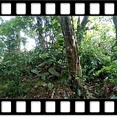 DSC_2045.JPG DSC_2045.JPG