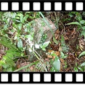 DSC_2056.JPG DSC_2056.JPG