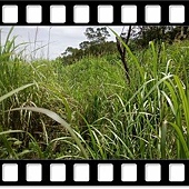 DSC_2063.JPG DSC_2063.JPG