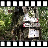 DSC_2131.JPG DSC_2131.JPG