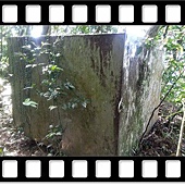 DSC_2134.JPG DSC_2134.JPG