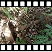 DSC_2154.JPG DSC_2154.JPG