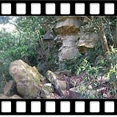 DSC_2153.JPG DSC_2153.JPG