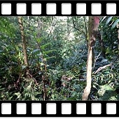 DSC_2157.JPG DSC_2157.JPG