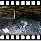 DSC_2174.JPG DSC_2174.JPG