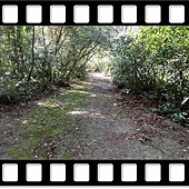 DSC_2198.JPG DSC_2198.JPG