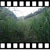 DSC_2211.JPG DSC_2211.JPG